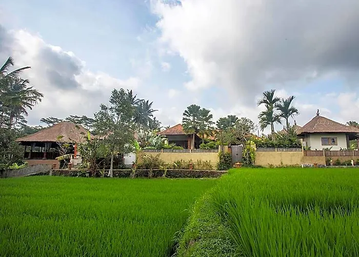 Bed & Breakfast Luwih