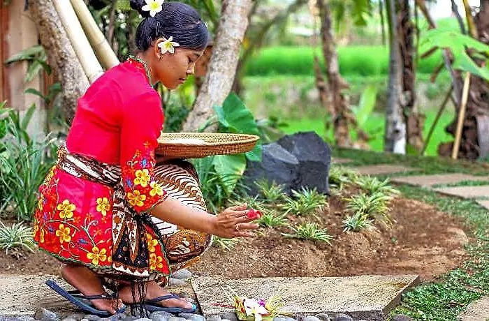 Luwih Bed & Breakfast Ubud